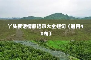 丫头夜话情感语录大全短句（通用40句）