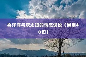 喜洋洋与灰太狼的情感说说（通用40句）