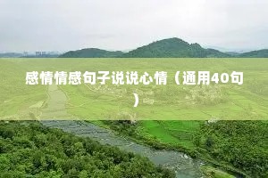 感情情感句子说说心情（通用40句）