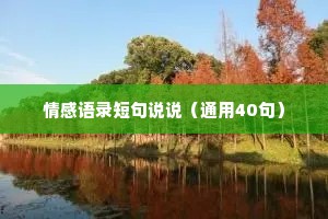 情感语录短句说说（通用40句）