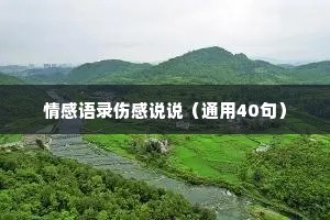 情感语录伤感说说（通用40句）
