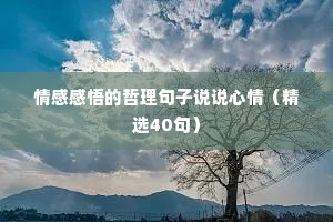 情感感悟的哲理句子说说心情（精选40句）