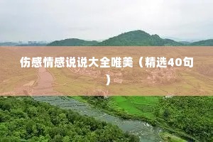 伤感情感说说大全唯美（精选40句）