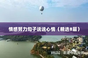 情感努力句子说说心情（精选8篇）