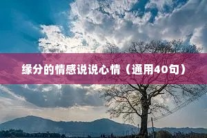 缘分的情感说说心情（通用40句）