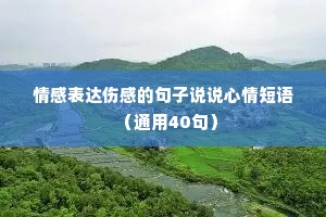 情感表达伤感的句子说说心情短语（通用40句）