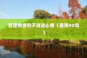 哲理情感句子说说心情（通用40句）