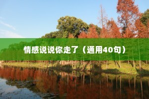 情感说说你走了（通用40句）