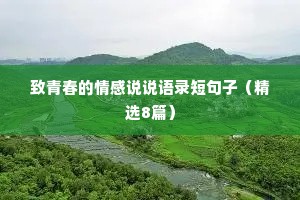 致青春的情感说说语录短句子（精选8篇）