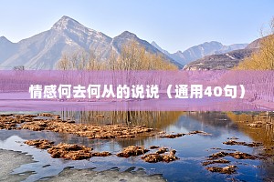 情感何去何从的说说（通用40句）