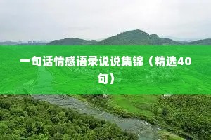 一句话情感语录说说集锦（精选40句）