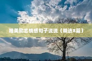唯美励志情感句子说说（精选8篇）