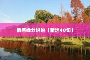 情感缘分说说（精选40句）