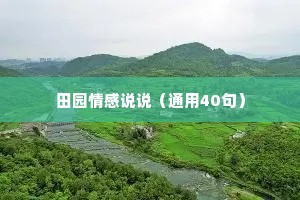 田园情感说说（通用40句）