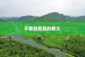 不期然而然的释义