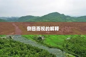 侧目而视的解释