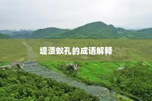 堤溃蚁孔的成语解释