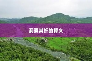 洞察其奸的释义
