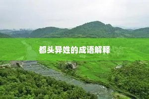 都头异姓的成语解释