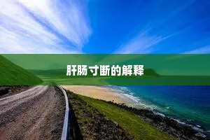 肝肠寸断的解释