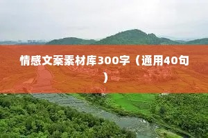 情感文案素材库300字（通用40句）
