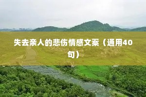 失去亲人的悲伤情感文案（通用40句）