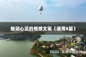 触动心灵的情感文案（通用8篇）
