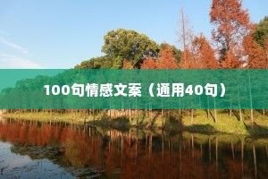 100句情感文案（通用40句）