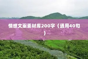 情感文案素材库200字（通用40句）