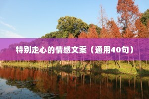 特别走心的情感文案（通用40句）