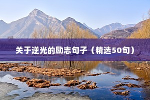 迎接阳光早晨的励志的句子（精选10篇）