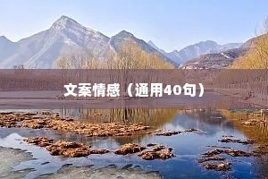 文案情感（通用40句）