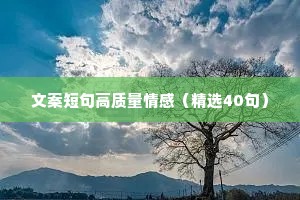 文案短句高质量情感（精选40句）