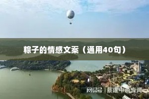 粽子的情感文案（通用40句）