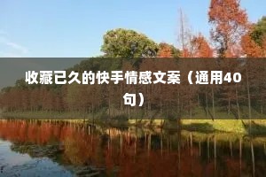 收藏已久的快手情感文案（通用40句）