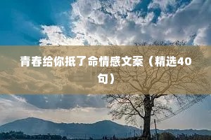青春给你抵了命情感文案（精选40句）