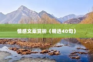 情感文案赏析（精选40句）