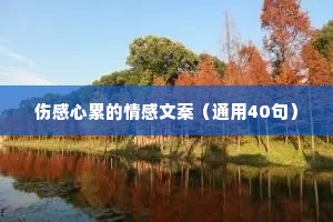 伤感心累的情感文案（通用40句）