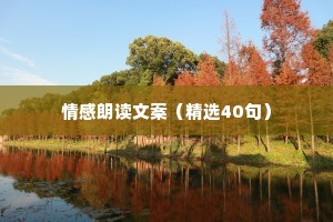 情感朗读文案（精选40句）