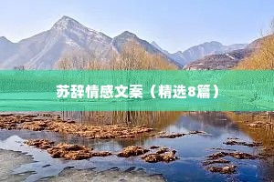 苏辞情感文案（精选8篇）