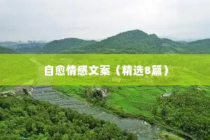 自愈情感文案（精选8篇）