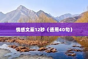 情感文案12秒（通用40句）