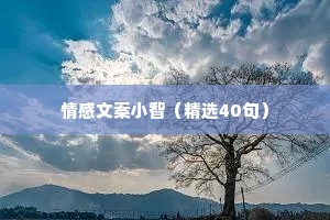 情感文案小智（精选40句）