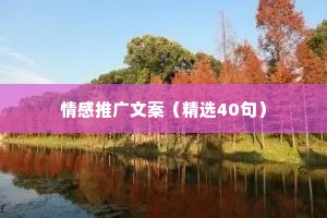 情感推广文案（精选40句）