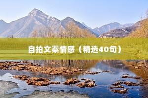 自拍文案情感（精选40句）