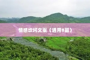 情感坎坷文案（通用8篇）
