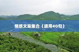 情感文案集合（通用40句）