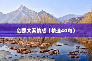 创意文案情感（精选40句）