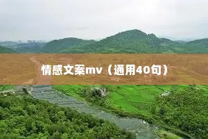 情感文案mv（通用40句）