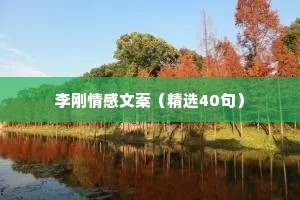 李刚情感文案（精选40句）
